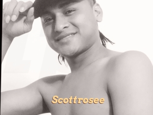 Scottrosee