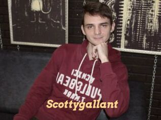 Scottygallant