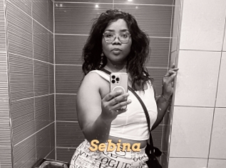Sebina