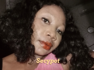 Secypot