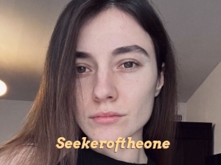 Seekeroftheone