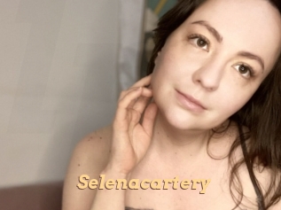 Selenacartery