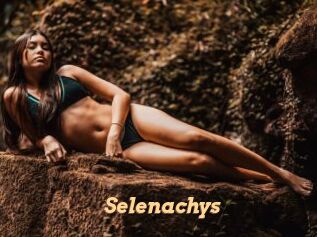 Selenachys