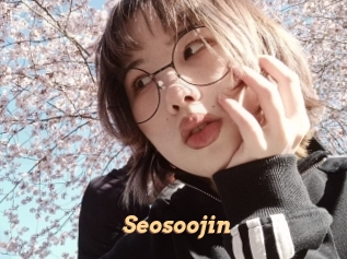 Seosoojin