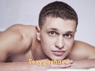 Sexygayhard
