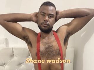 Shane_wadson