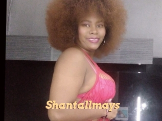 Shantallmays