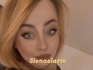 Sienaelarie