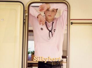 Silkybert