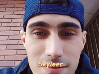 Skyleer