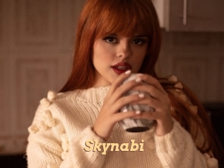 Skynabi