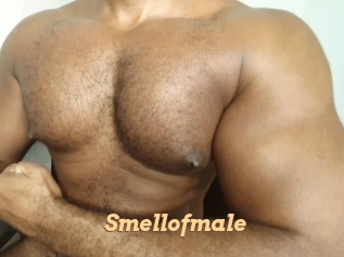 smellofmale Live Paradise