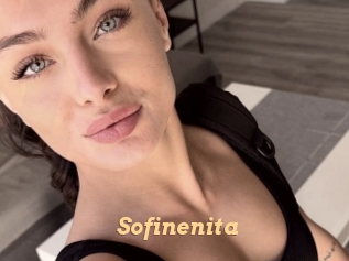 Sofinenita