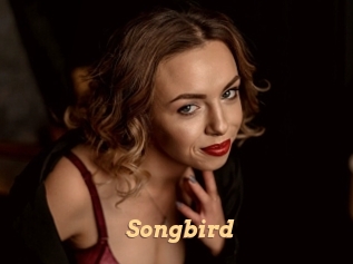 songbird Live Paradise