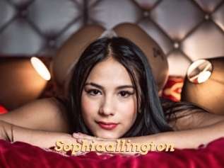 sophiaallington Live Paradise