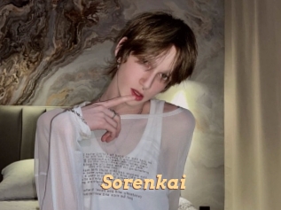 sorenkai Live Paradise