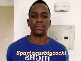 Spartacusbigcock1