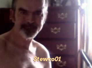 Stewco01