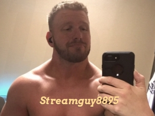 Streamguy8895