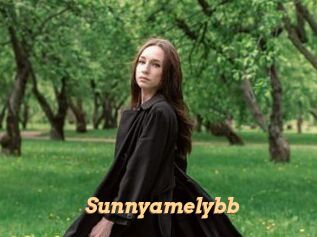 Sunnyamelybb
