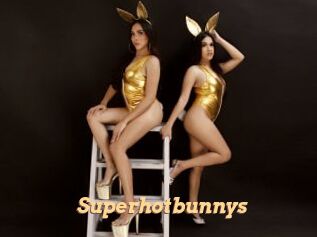 Superhotbunnys
