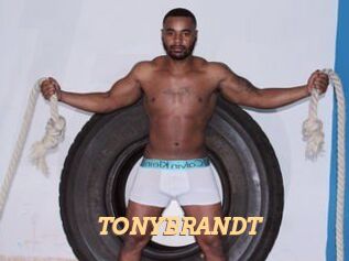 TONYBRANDT