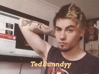 TedBunndyy