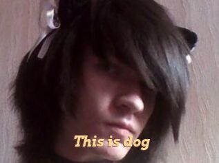 This_is_dog