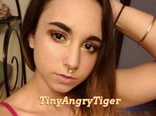 TinyAngryTiger