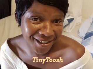 TinyToosh