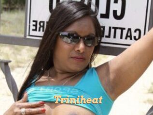 Triniheat