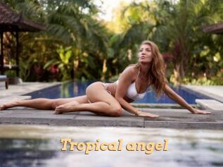 Tropical_angel