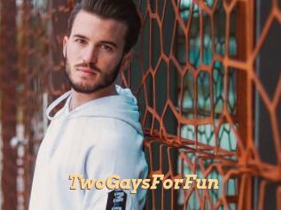 TwoGaysForFun