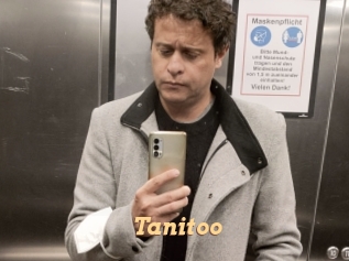 Tanitoo
