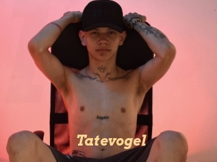 Tatevogel
