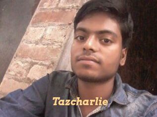 tazcharlie Live Paradise