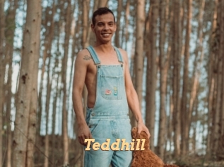 Teddhill