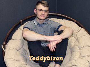 Teddybizon