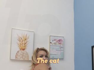 The_cat