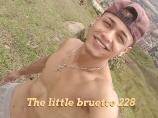 The_little_bruette_228