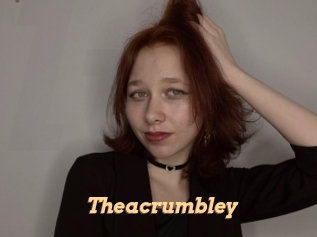 theacrumbley Live Paradise