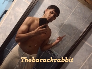 Thebarackrabbit