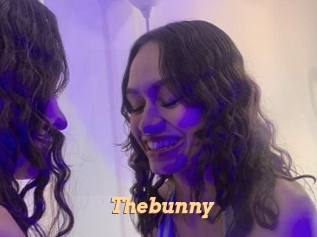 thebunny Live Paradise