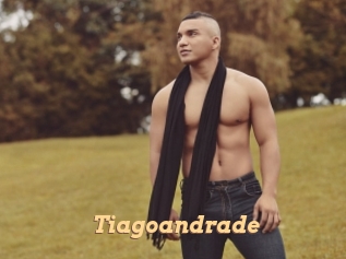 tiagoandrade Live Paradise