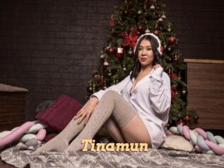 Tinamun
