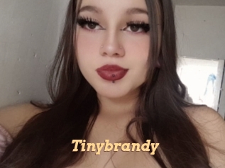 Tinybrandy