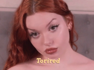 torired Live Paradise