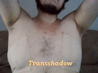 Transshadow