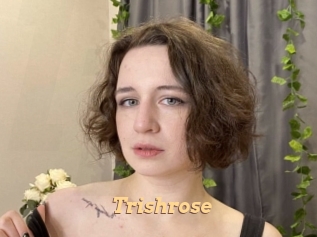 Trishrose