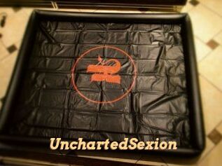 UnchartedSexion